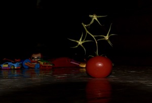 Image-preview_300x200