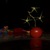 Image-square_50