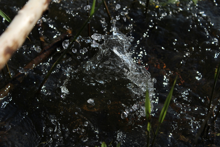 Image-normal
