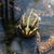 Image-square_50