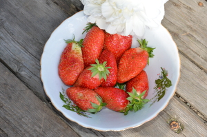 Image-preview_300x200