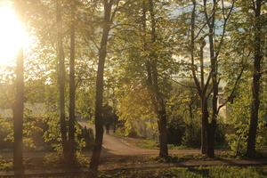 Image-preview_300x200