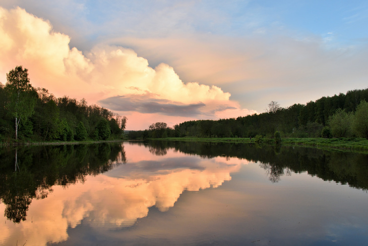 Клин сестрорецкий парк фото