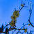 Image-square_50