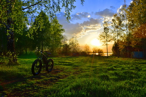 Image-preview_300x200