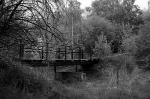 Image-preview_300x200