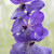 Image-square_50