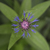 Image-square_50