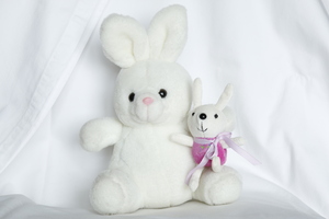 Image-preview_300x200