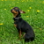 Image-square_50