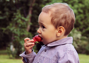 Image-preview_300x200
