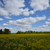 Image-square_50