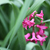 Image-square_50