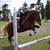 Image-square_50