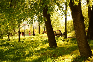 Image-preview_300x200
