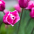 Image-square_50