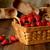Image-square_50
