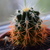 Image-square_50