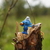 Image-square_50