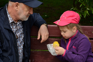 Image-preview_300x200