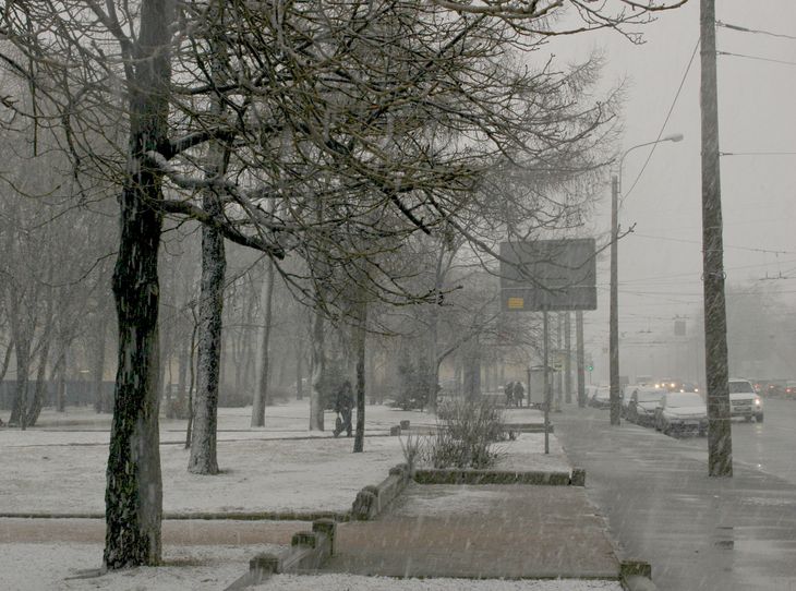 Image-normal