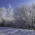 Image-square_50