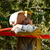 Image-square_50