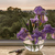 Image-square_50