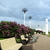 Image-square_50