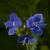 Image-square_50