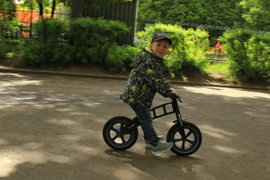 Image-preview_300x200
