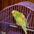 Image-square_50