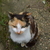 Image-square_50