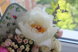 Image-preview_300x200