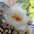 Image-square_50