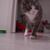 Image-square_50