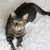 Image-square_50