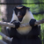 Image-square_50