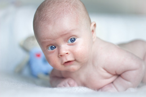 Image-preview_300x200