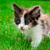 Image-square_50