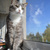 Image-square_50