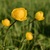 Image-square_50