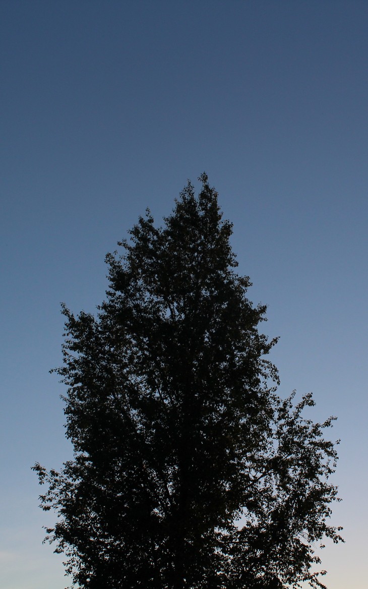 Image-normal