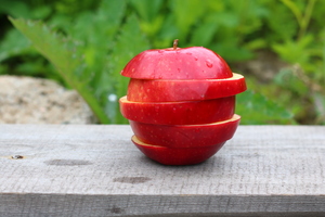 Image-preview_300x200