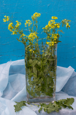 Image-preview_300x200