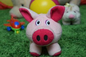 Image-preview_300x200