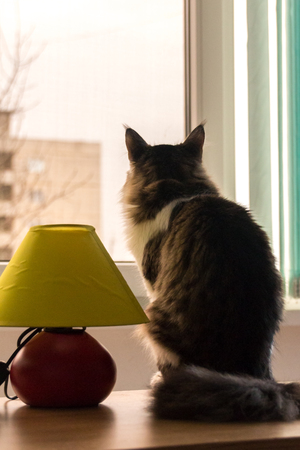 Image-preview_300x200