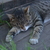 Image-square_50