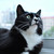 Image-square_50