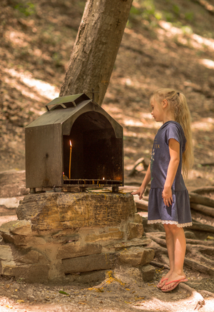 Image-preview_300x200